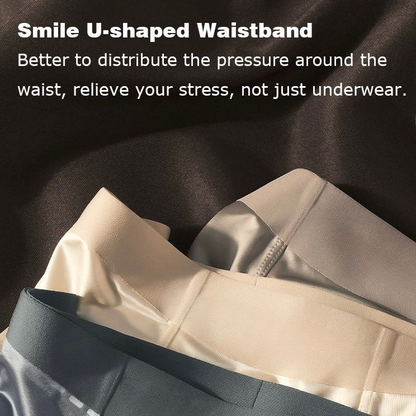 Luxe Boxer™ - Premium Silk Underwear [BUY 4, GET 8